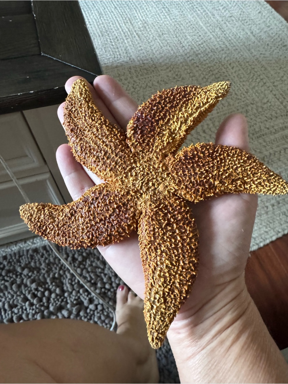 Beautiful Sugar Starfish 6" Coastal decor piece NJ estate sale find must see - Picture 6 of 6